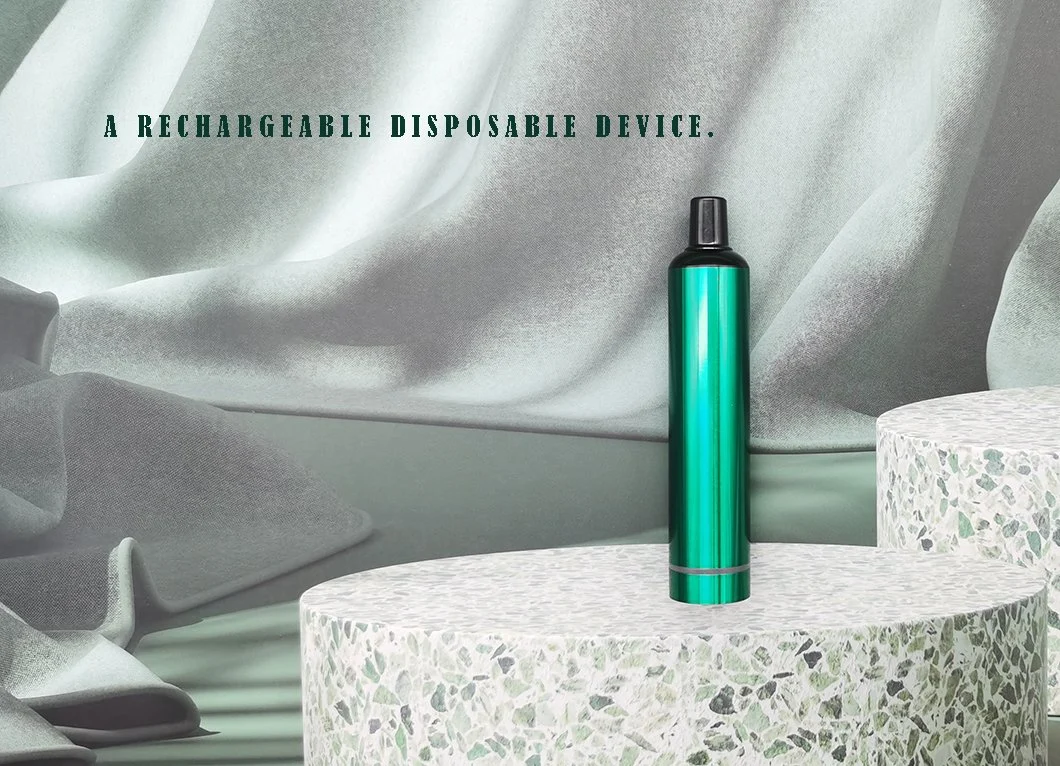 Rechargeable Disposable Vape Pen 3000 Puffs 10ml Vape with Charging Port