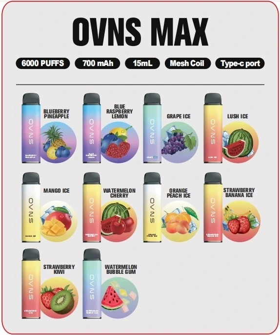 Ovns Mesh15 Popular Disposable Pods Vape About 6000puffs Mint Flavor OEM Service Manufacturer