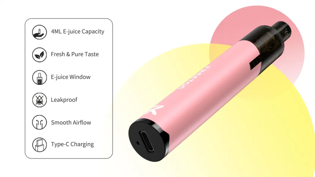 Rechargeable &amp; Replaceable Portable Vape E Cigarette Starter Kits