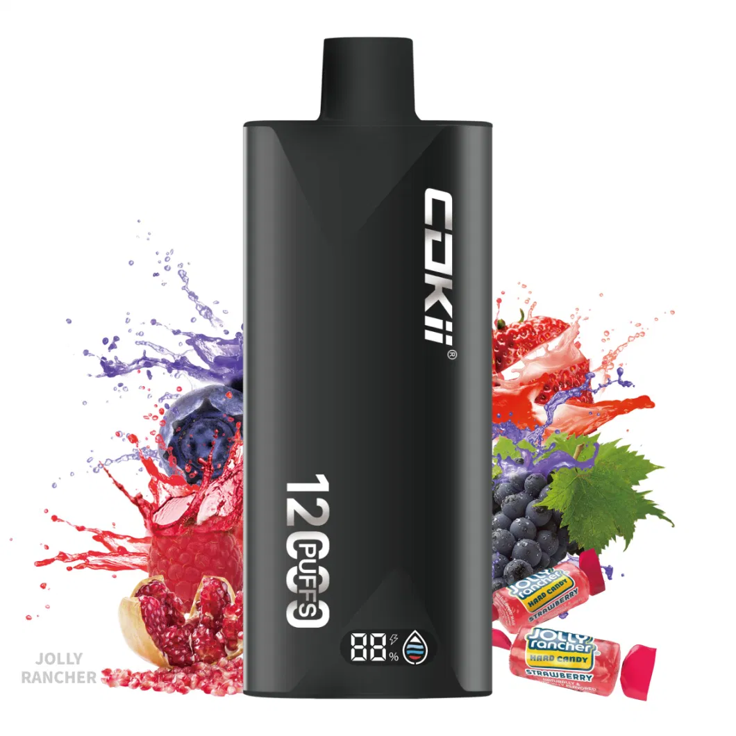 Cube Vape E Cigarette Disposable Electronic Cigarette 12000 Puffs Vape