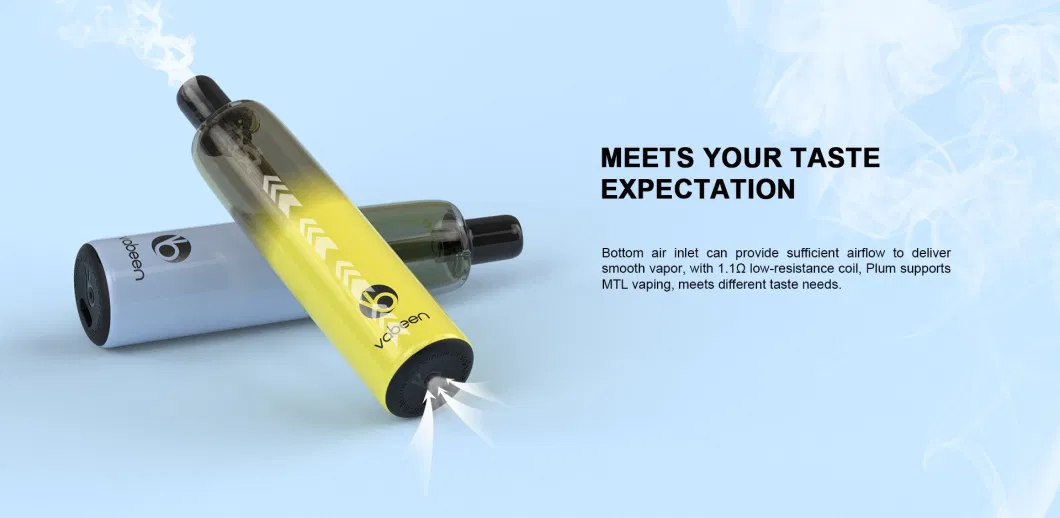 New Arrived Vapers Smoke Electronic Cigarettes Vape Pen Battery Pen 5000 Puffs 12ml Ultra-Large Capacity Popular