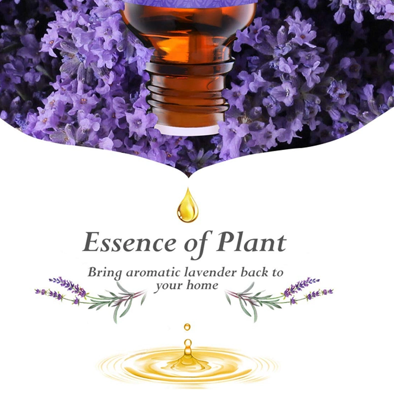 Customized Whole Body Lavender Essential Perfume Plant Extract Glass Bottle Hemp Oil Extraction