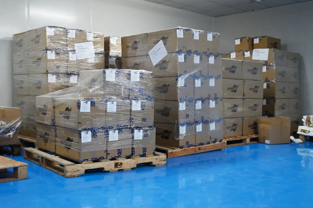 UK Europe Hot Sales Shisha Flavors Vapeurs Crystal 8000 10000 12000 Puffs Rechargeable Wholesale Vapes Disposable Vape