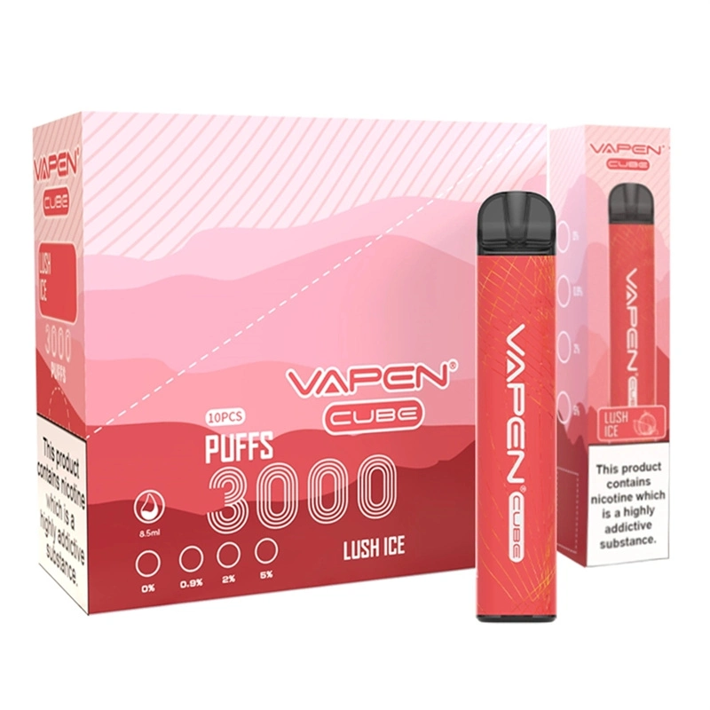 Wholesale Disposable Vape Pen Vasy Vapen Cube 3000 Puffs in Stock