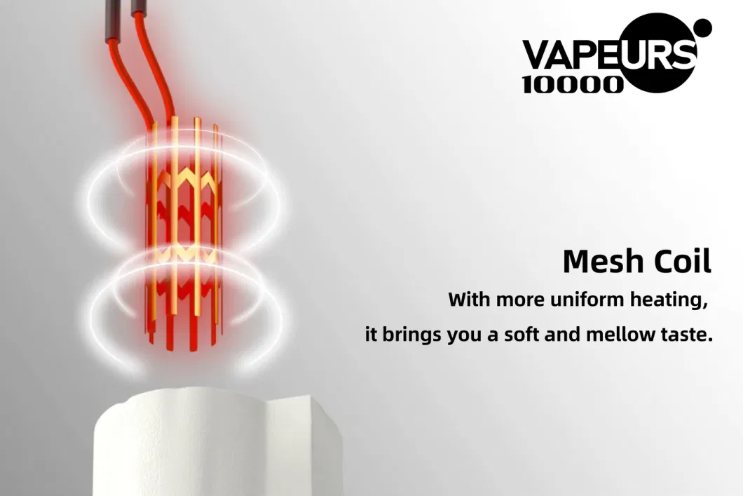 Vapeurs Factory Price Disposable Vape Pen Mech Coil 10000puffs Vs Puff Plus Flavors 2% Salt Nicotine Ecig Wholesale OEM