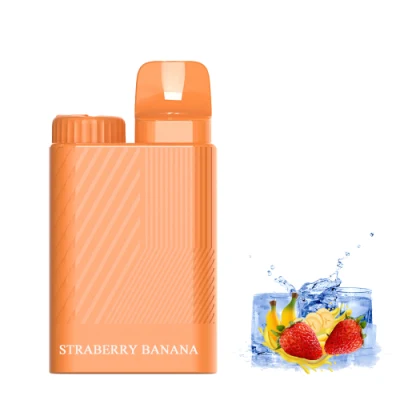  Custom 4500 Puffs VAPE lápiz desechable Amazon Precio E Cigarette Vaporeta de jugo de Wape