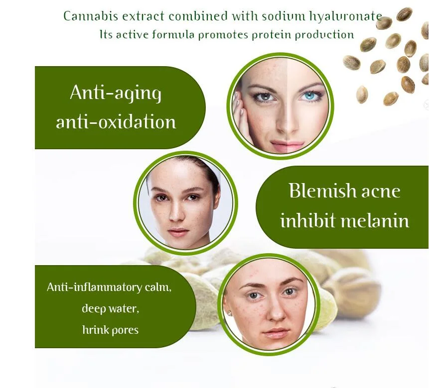 Hot Selling Herbal Hemp Oil for Skin Care and Relaxing