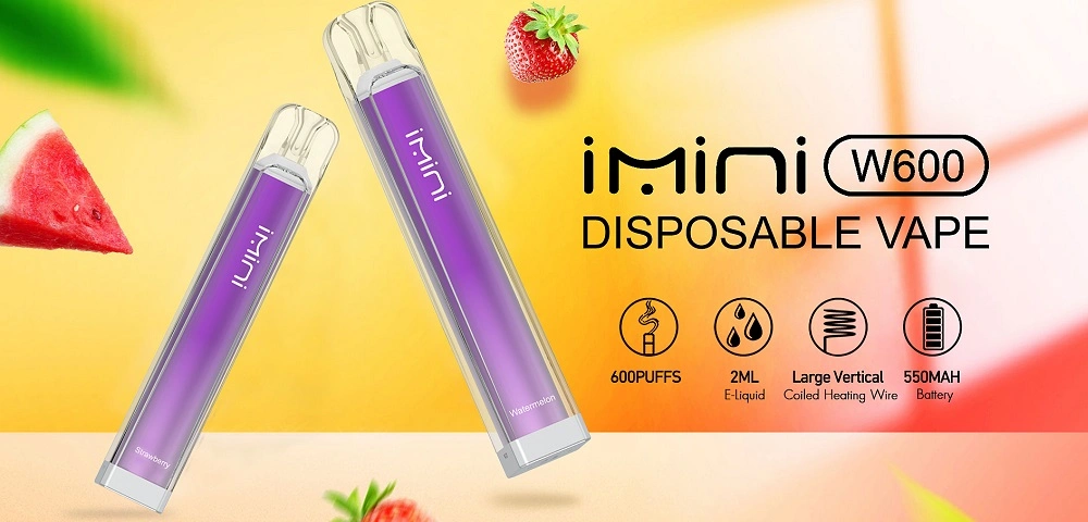 Wholesale Imini 600 Puffs 2ml Crystal Disposable Vape Pen E Cigarette with Airflow Control Mesh Coil 550mAh Rechargeable Battery