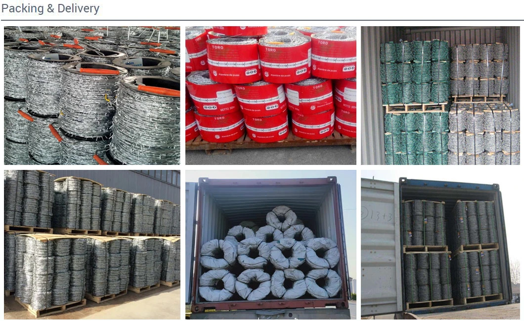 2.20mm 500m Hot Dipped Galvanized Barbed Wire Coil