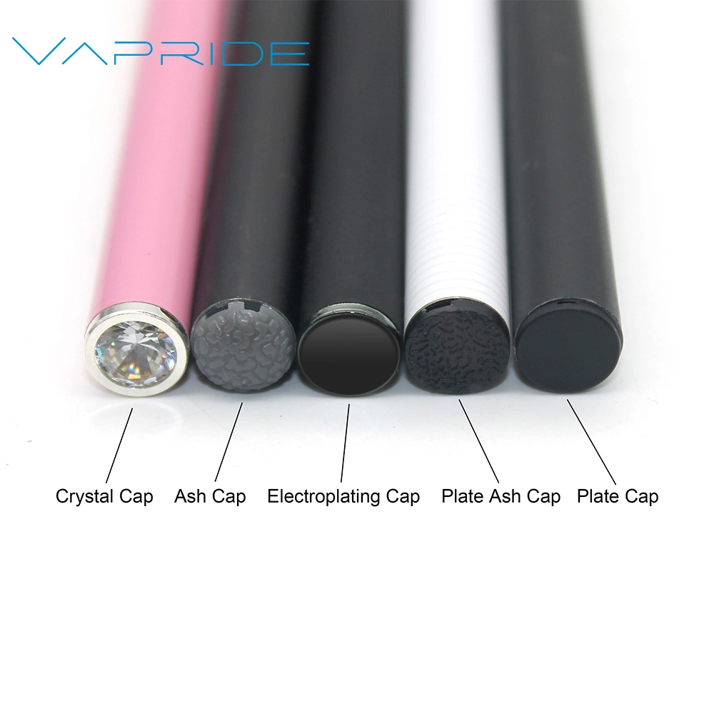 Hot Selling Mint Flavors 500 Puffs Disposable Electronic Cigarette Custom Vape