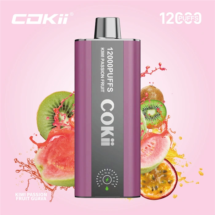 Made in China Wholesale Market 12K Puff Vapor Disposable Ecig E Liquid Cheap Smoking Vape Juice Alibaba 1688 Digital Display Cokii Vape up Maskking Poco