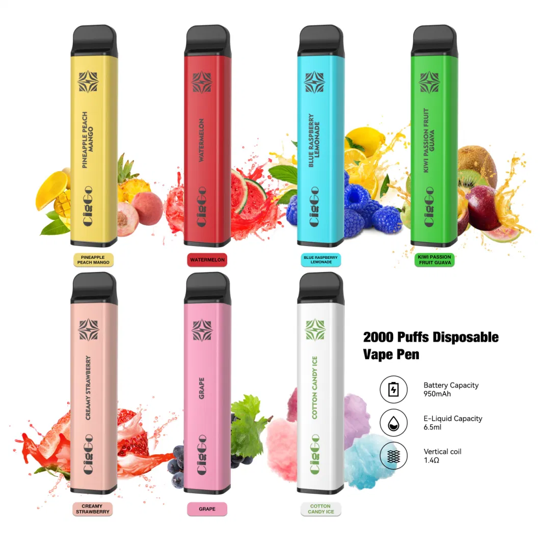 Ciggo Cube 2000 Puffs Disposable Vape Pen with 650mAh Battery 6.5ml Eliquid