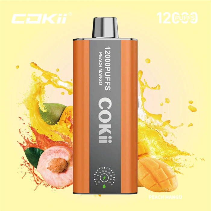 Made in China Wholesale Market 12K Puff Vapor Disposable Ecig E Liquid Cheap Smoking Vape Juice Alibaba 1688 Digital Display Cokii Vape up Maskking Poco