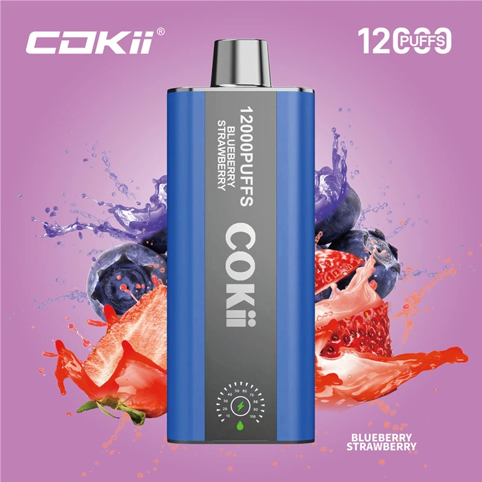 Made in China Wholesale Market 12K Puff Vapor Disposable Ecig E Liquid Cheap Smoking Vape Juice Alibaba 1688 Digital Display Cokii Vape up Maskking Poco