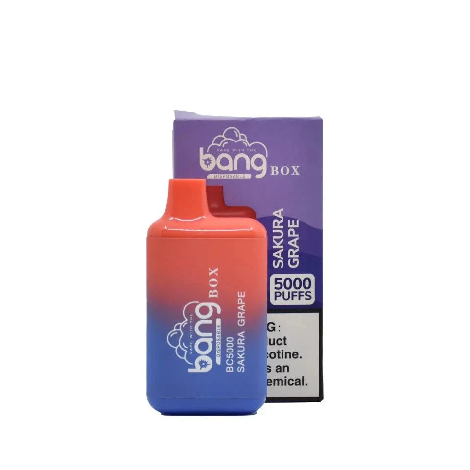 Disposable 5000puffs Smoke Vape Pen Bang Box 5000puff Energy