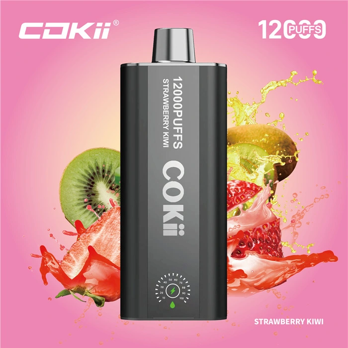 Made in China Wholesale Market 12K Puff Vapor Disposable Ecig E Liquid Cheap Smoking Vape Juice Alibaba 1688 Digital Display Cokii Vape up Maskking Poco