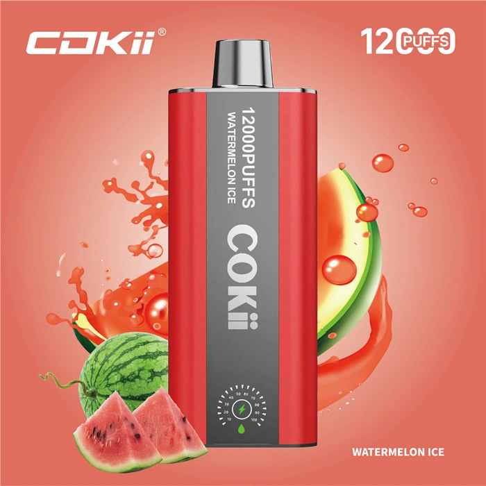 Made in China Wholesale Market 12K Puff Vapor Disposable Ecig E Liquid Cheap Smoking Vape Juice Alibaba 1688 Digital Display Cokii Vape up Maskking Poco