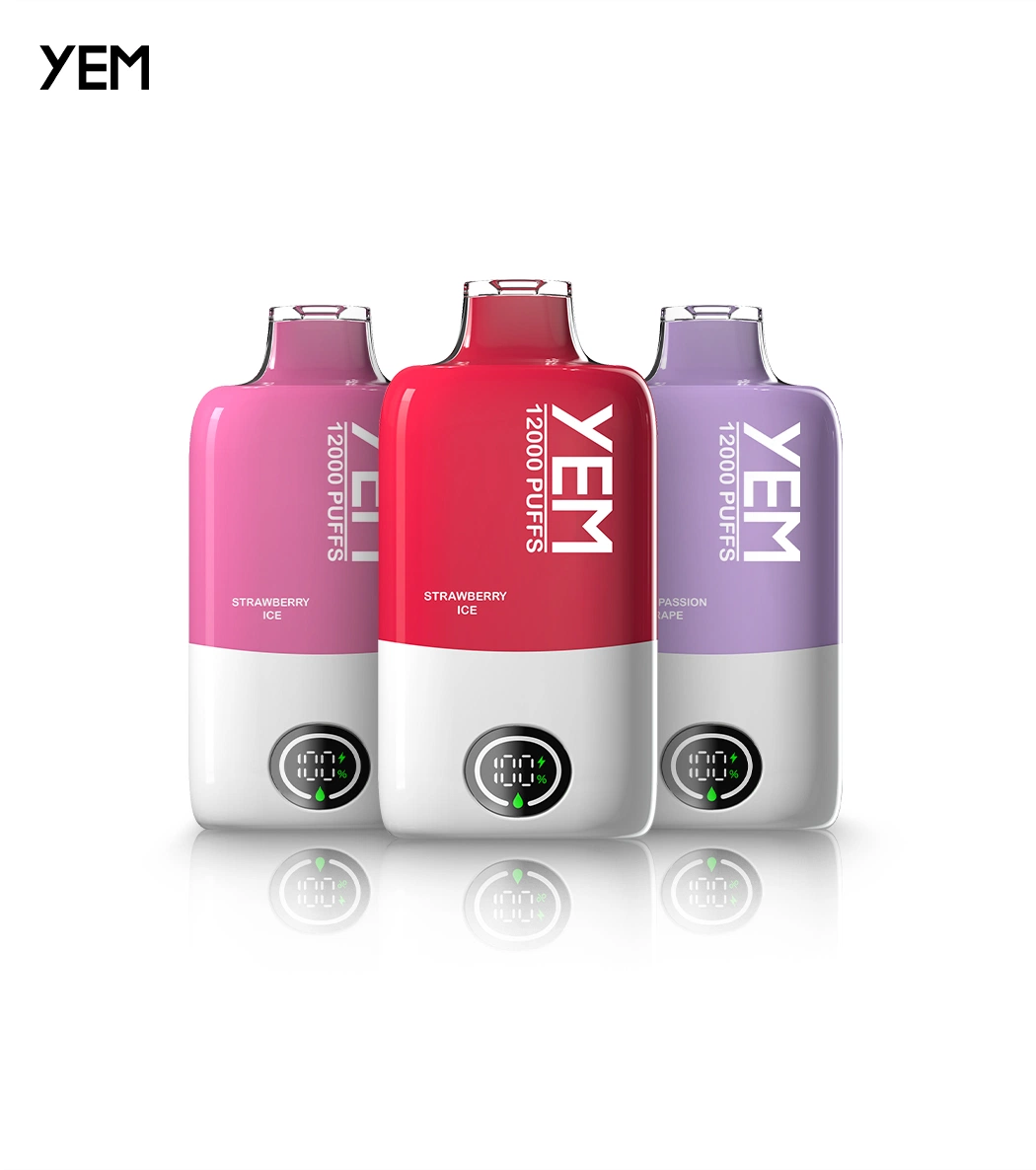 Wholesale I 2024 New 12000 Puffs LED Screen Disposable Vaper Vapers Wape 12K Puff E Vape