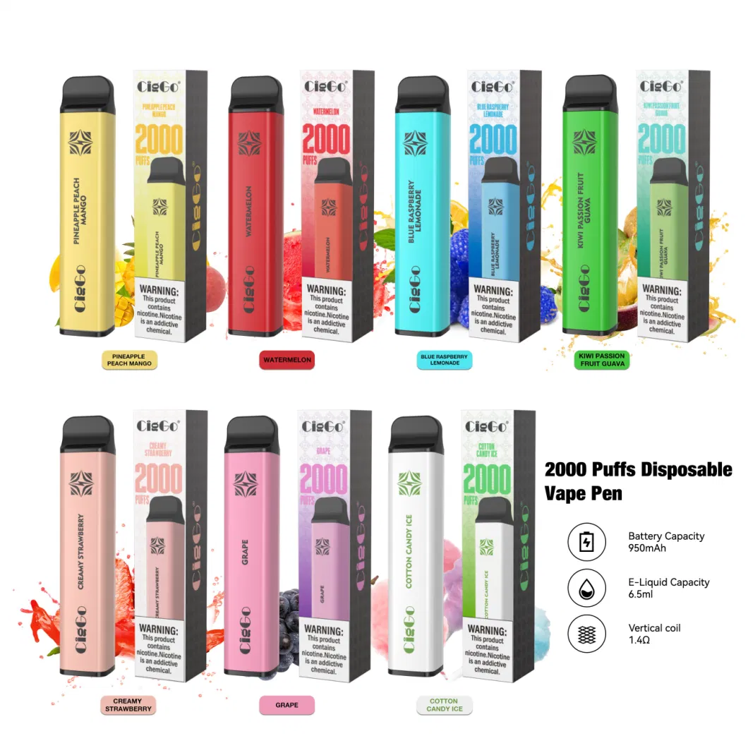 Ciggo Cube 2000 Puffs Disposable Vape Pen with 650mAh Battery 6.5ml Eliquid