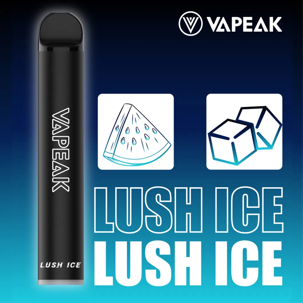 Wholesale Price Disposable Vape 2500 Puffs Vapeak Mesh06 Vape Without Nicotine 10flavors Ejuice