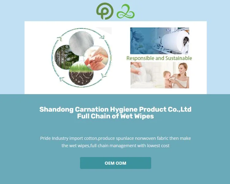 Free Sample Custom Cheap Price and Ultra Soft Nonwoven Baby Products Wet Wipes