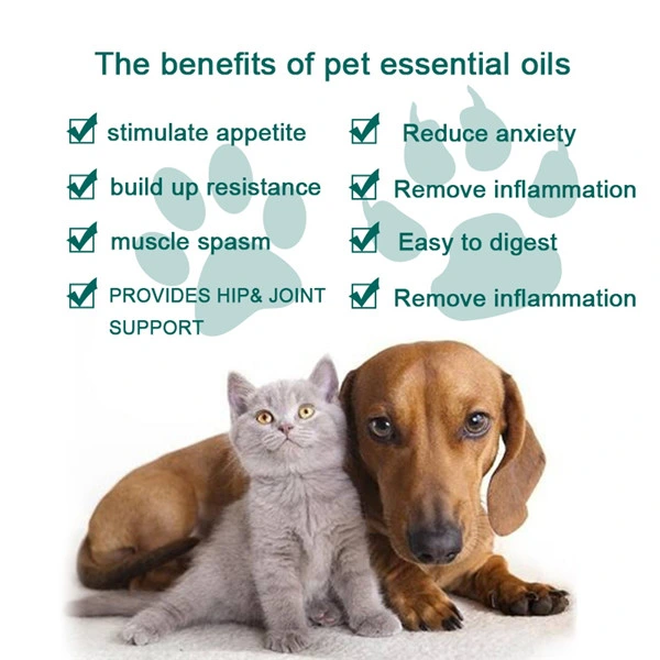 Hemp Oil Relieves Stress and Pain Pet Massage Essential Oil