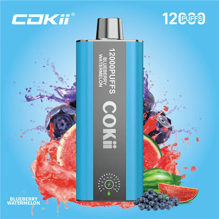 Made in China Wholesale Market 12K Puff Vapor Disposable Ecig E Liquid Cheap Smoking Vape Juice Alibaba 1688 Digital Display Cokii Vape up Maskking Poco