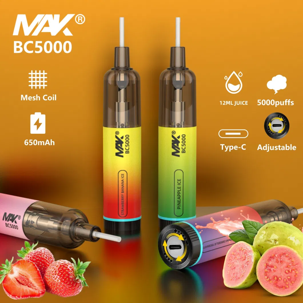 Mak Vape China Shenzhen Original Factory Ak9000 Puffs Bottom LED Flash Light Randm Disposable Vape Pen