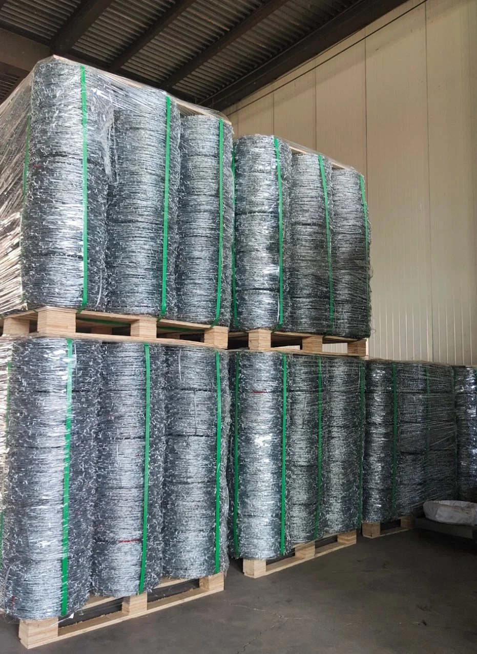 Hot High Tensile Strength Hot Dipped Galvanized Barbed Wire Coil