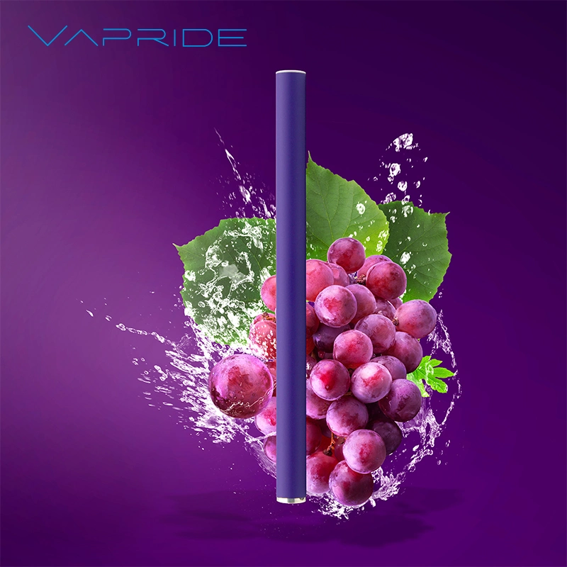 Hot Selling Mint Flavors 500 Puffs Disposable Electronic Cigarette Custom Vape