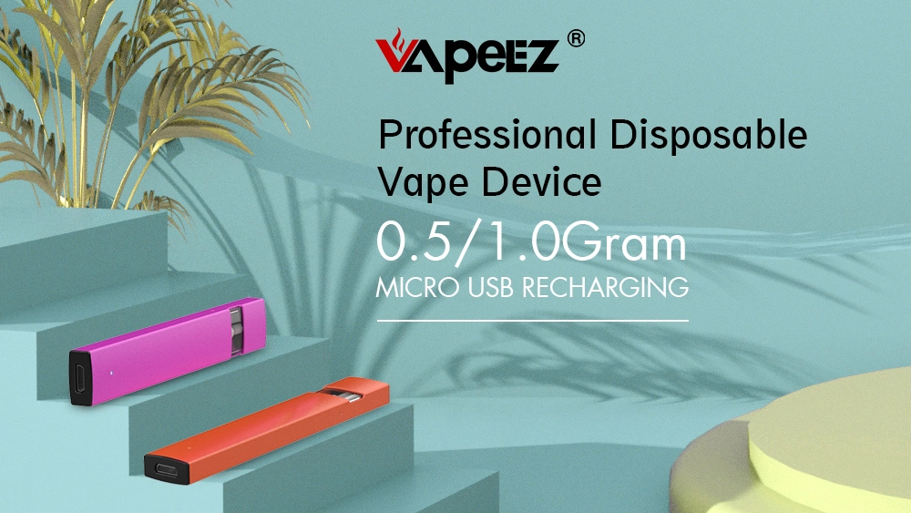 Ezd2-Hc D8 Disposable Vape 270/350mAh E-Cigarette Starter Kits