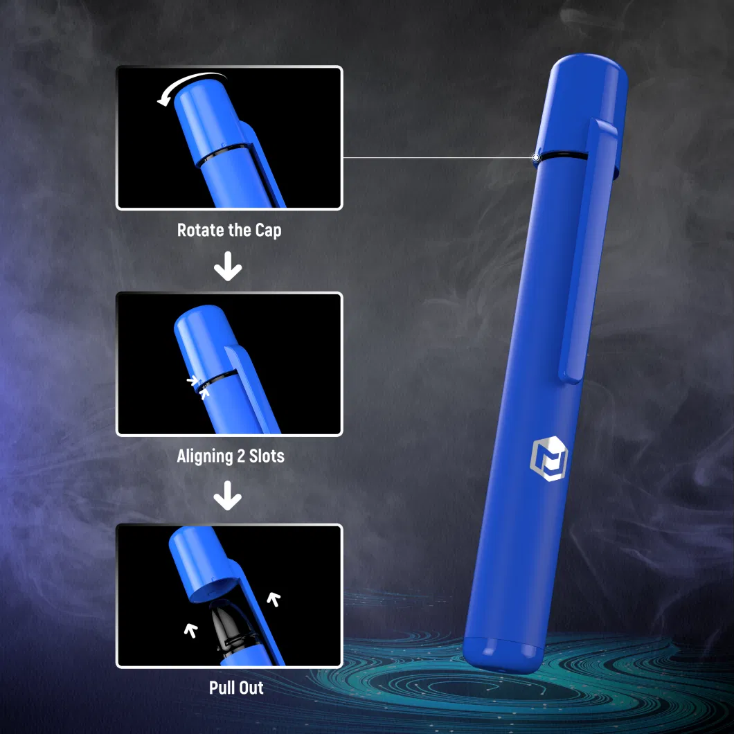 Shenzhen 600 Puffs 2ml Mesh Coil Hot Selling Cool Mint Tabacco Fruit Flavors Disposable Vape