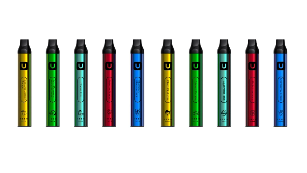 New E-Cigarette 1000 Puffs Different Flavors Disposable Vapes Pen Electronic Cigarette Vape Pod