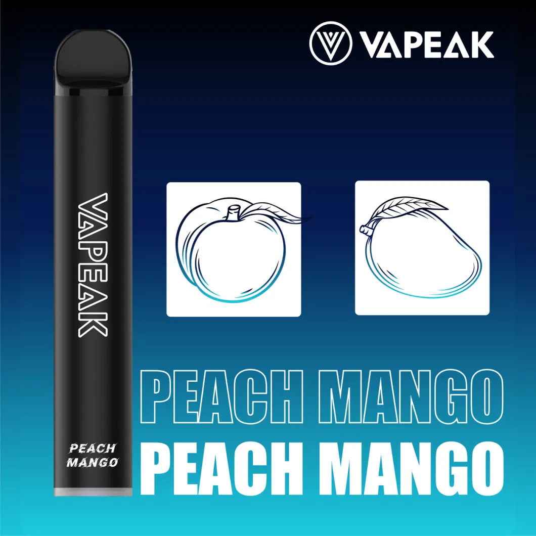 Wholesale Price Disposable Vape 2500 Puffs Vapeak Mesh06 Vape Without Nicotine 10flavors Ejuice