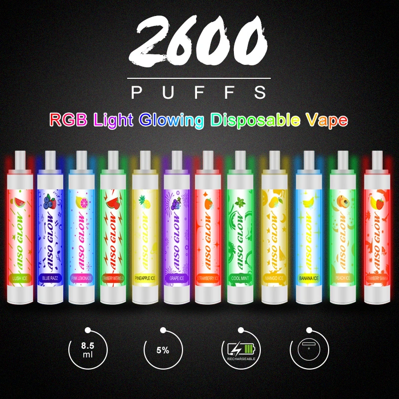 Wholesale Mint Flavour 2600 Puffs Ecig Disposable Vape with RGB Light Glowing