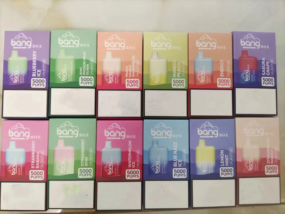 Top Sell Ecig Bang Box Bc5000 5000 Puffs E Cigarettes Bars Mesh Coil Disposable Pods Device Vape Pen Prefilled Pod Cartridge Rechargeable Vs Randm Elf Box