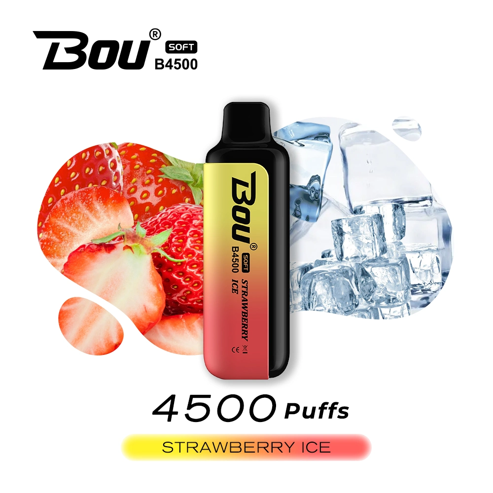 Hot Selling Electronic Cigarette 4500 Puffs Juice Fruit Flavor Wholesale Disposable Vape