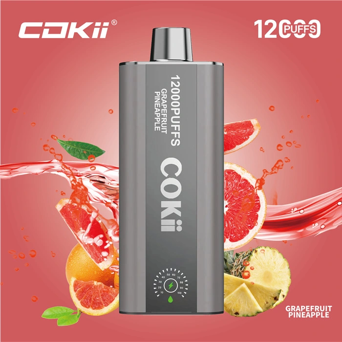 Made in China Wholesale Market 12K Puff Vapor Disposable Ecig E Liquid Cheap Smoking Vape Juice Alibaba 1688 Digital Display Cokii Vape up Maskking Poco