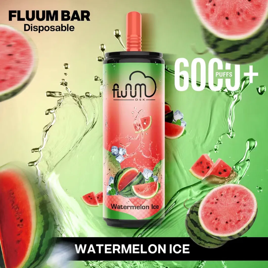 Fluum Bar Mesh15 Popular Disposable Pods Vape 6000puffs Mint Flavor OEM Service Manufacturer