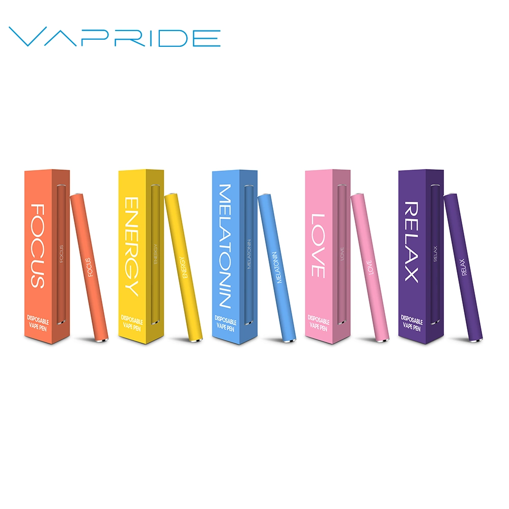 Hot Selling Mint Flavors 500 Puffs Disposable Electronic Cigarette Custom Vape