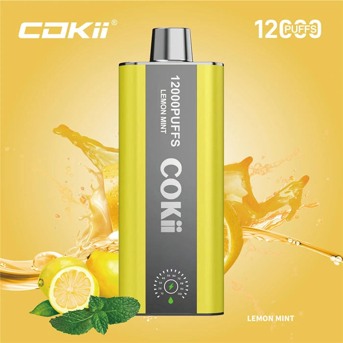 Made in China Wholesale Market 12K Puff Vapor Disposable Ecig E Liquid Cheap Smoking Vape Juice Alibaba 1688 Digital Display Cokii Vape up Maskking Poco