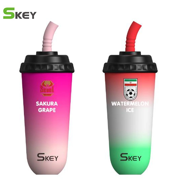 Skey OEM E Cigarette Mini Oil Wholesale Vaporizer Disposable Vape Pen 400puff Smoke Vaporizer