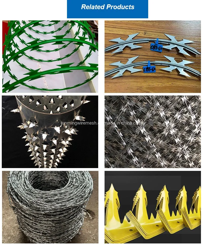 Flat Cross Razor Blade Barbed Wire Coil with 450mm 550mm 650mm Loops Galvanized Concertina Wire for Philippines