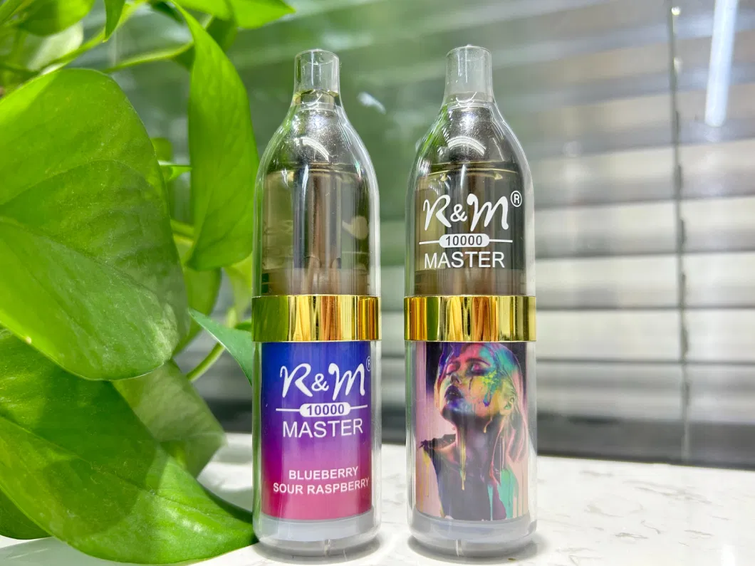 R and M Master 10000 20ml E Liquid 10000 Puffs with RGB LED Light Mesh Coil Disposable Vape Pen Wholesale