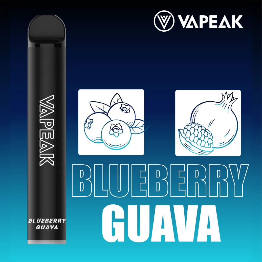 Wholesale Price Disposable Vape 2500 Puffs Vapeak Mesh06 Vape Without Nicotine 10flavors Ejuice