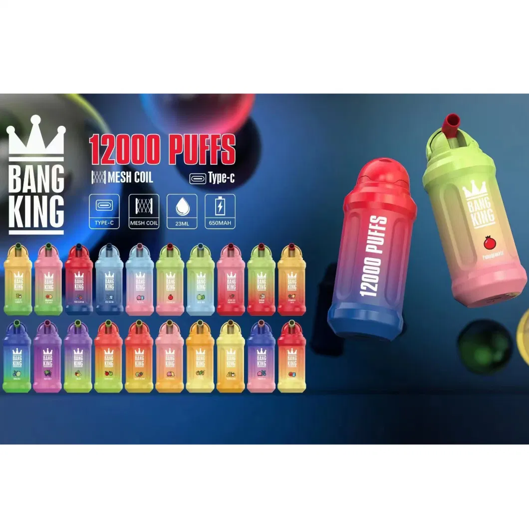 Disposable Electronic Cigarette Vaporizer Bang King 12000 Puffs with 20 Flavor 23ml E Liquid 650mAh Rechargeable Vape Pod