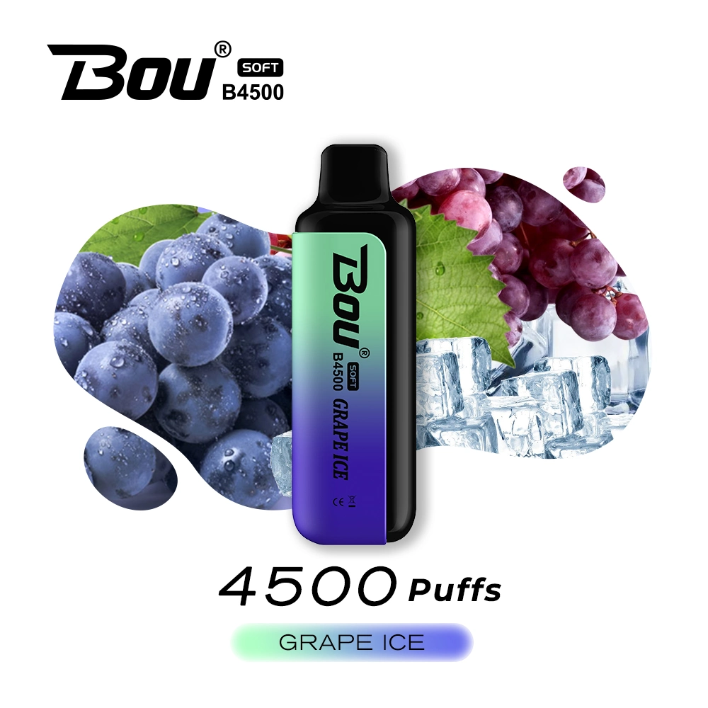 Hot Selling Electronic Cigarette 4500 Puffs Juice Fruit Flavor Wholesale Disposable Vape