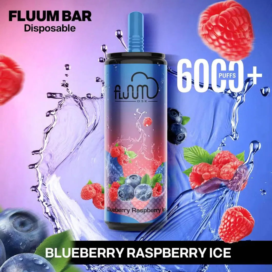 Fluum Bar Mesh15 Popular Disposable Pods Vape 6000puffs Mint Flavor OEM Service Manufacturer