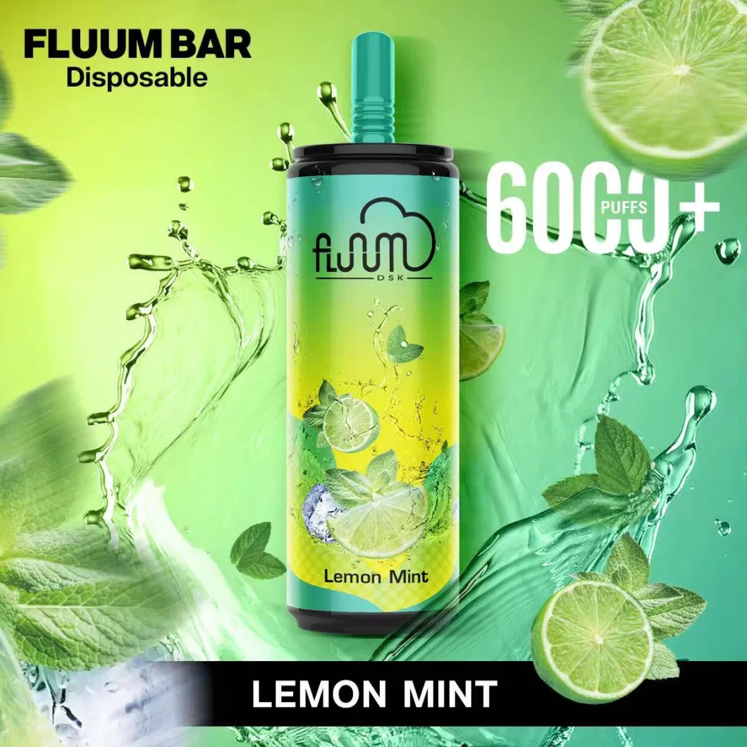Fluum Bar Mesh15 Popular Disposable Pods Vape 6000puffs Mint Flavor OEM Service Manufacturer