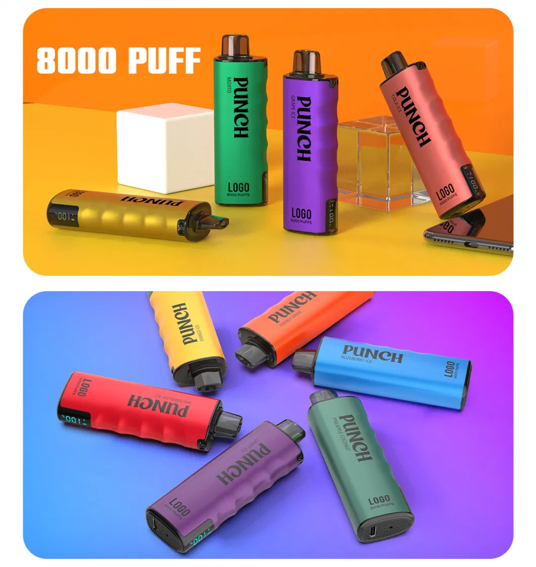 Hot Selling 8000 Puff E-Cigarettes Disposable Vape Pod with OEM/ODM